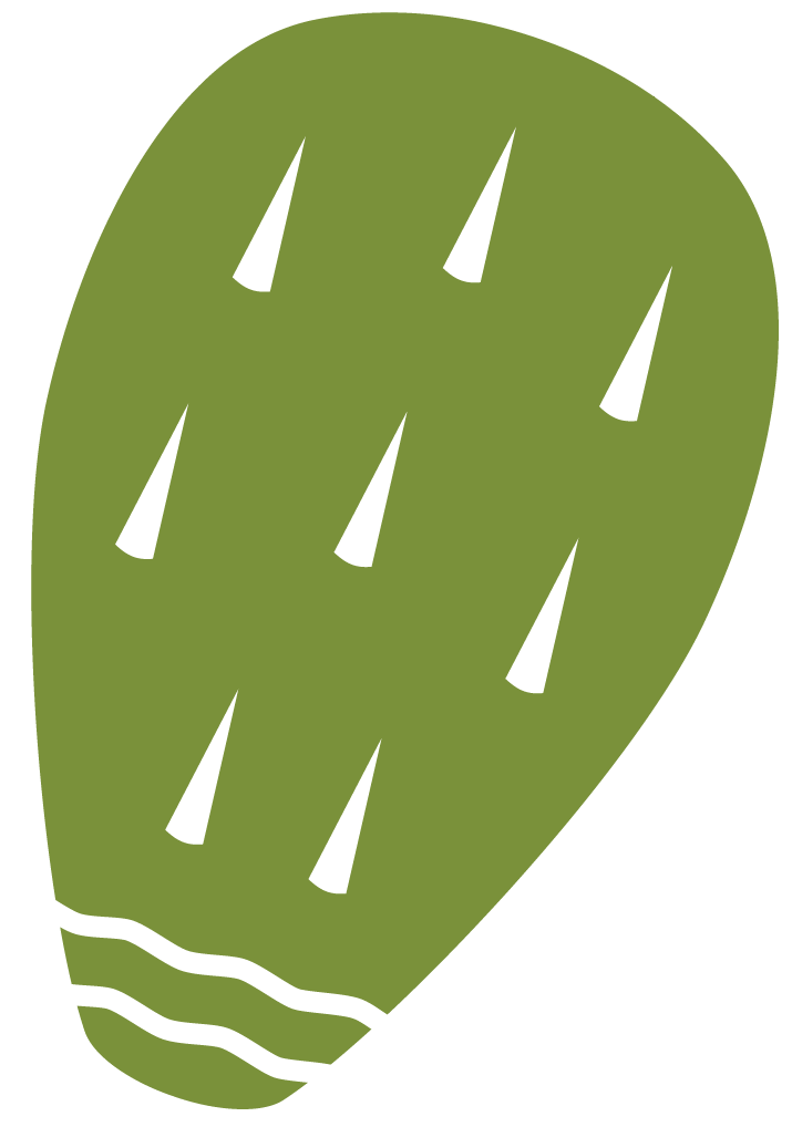 nopal icon